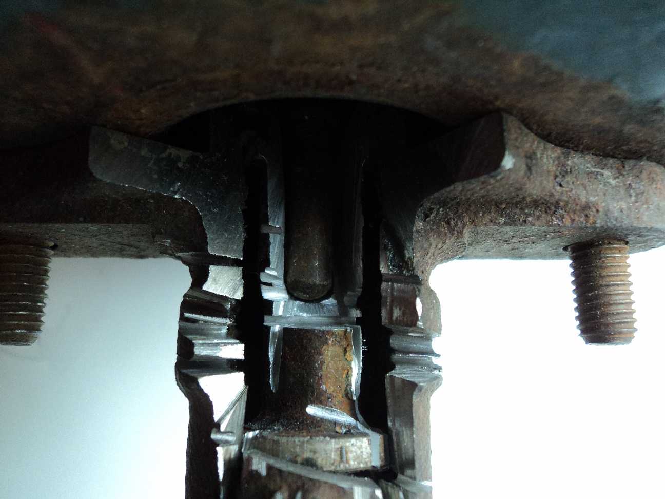 ������������� �����������