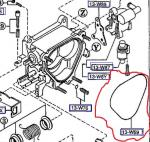 ������������� �����������