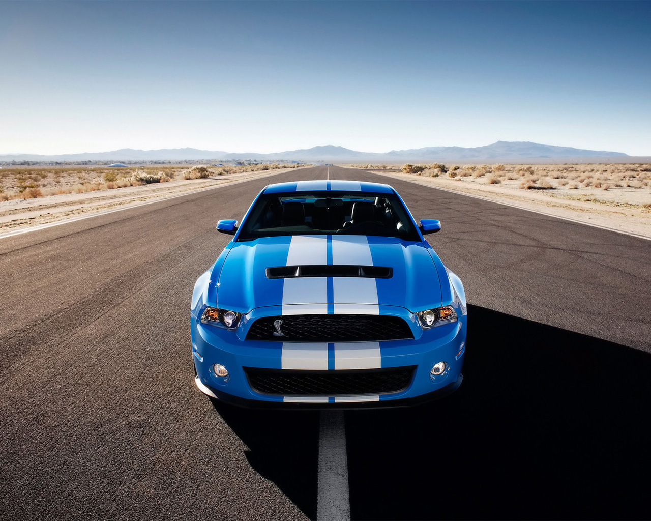 ������������� �����������