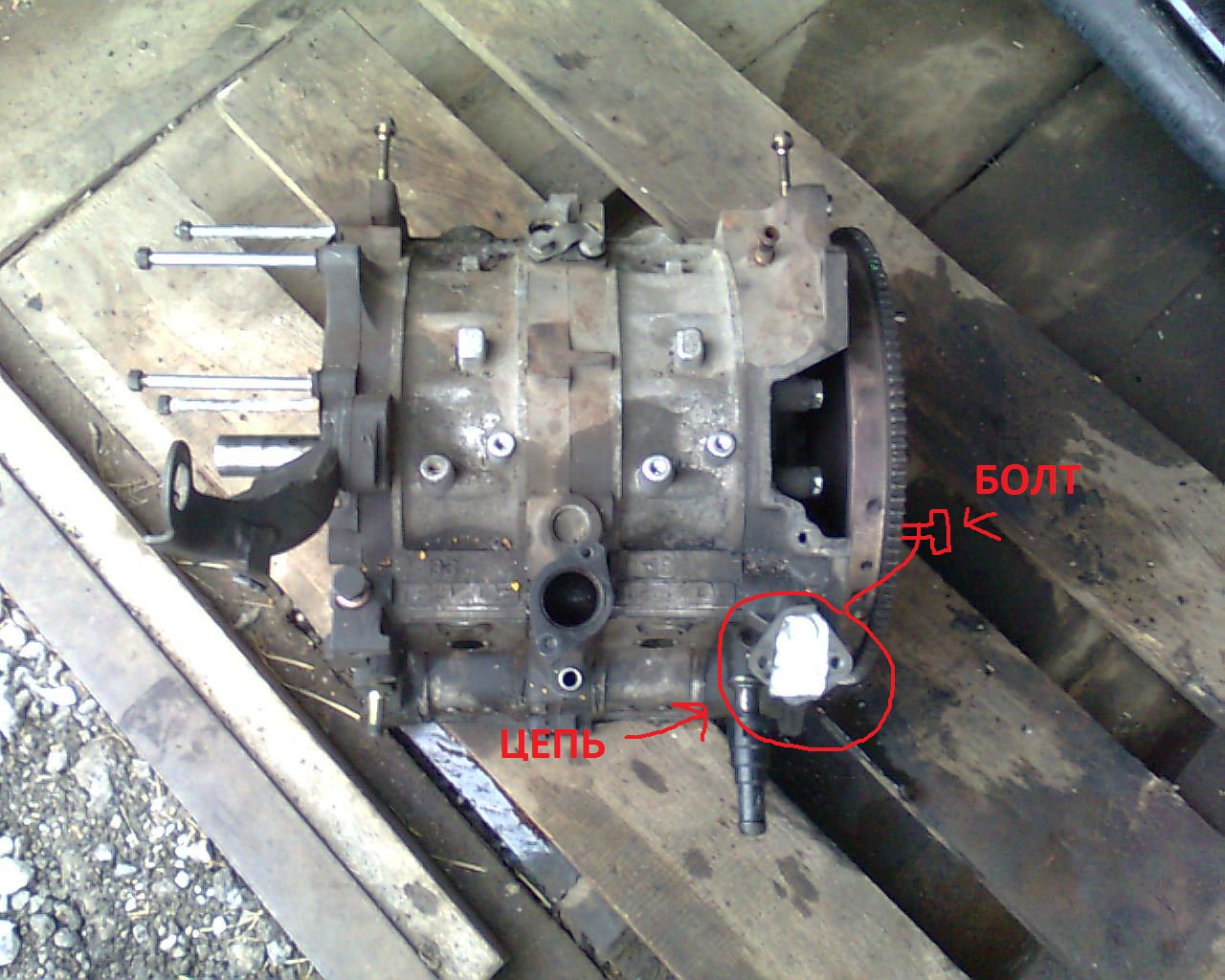 ������������� �����������