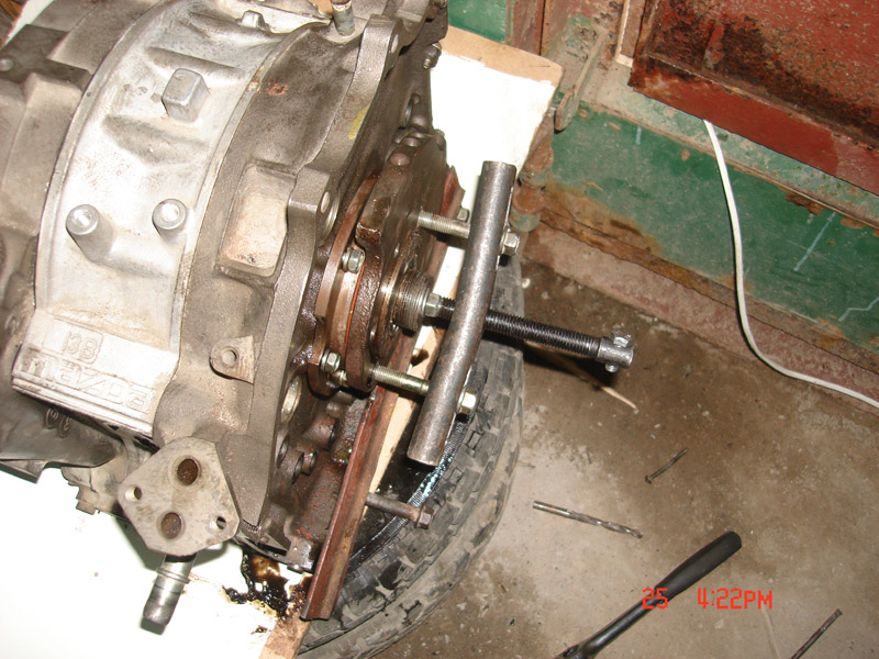 ������������� �����������